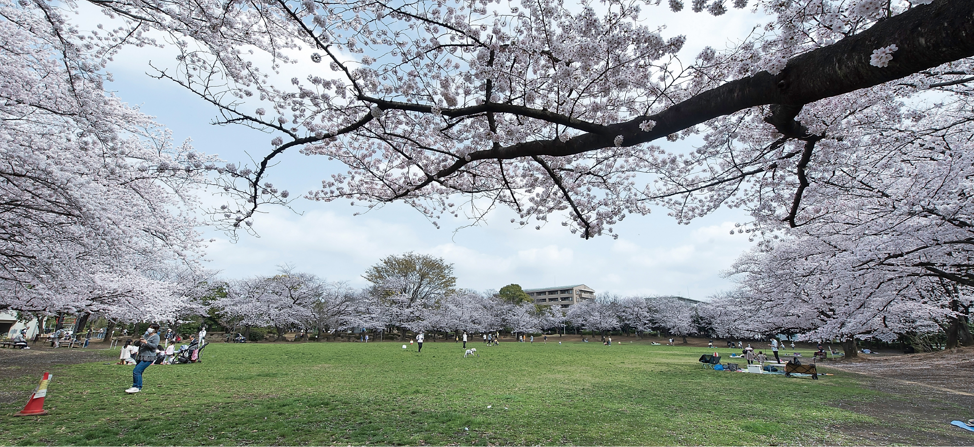 蕨市民公園（徒歩12分／約930m）